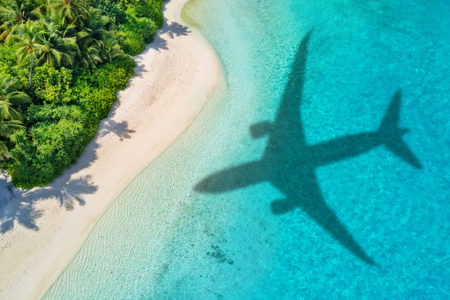 shadow of airplane over blue water beach