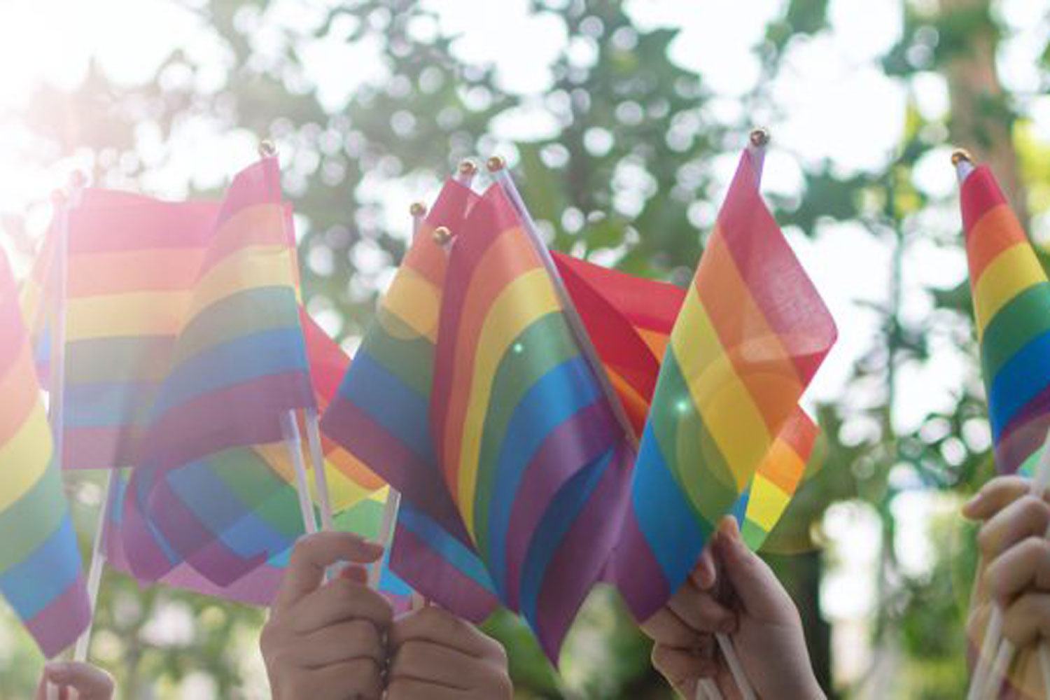hands holding rainbow flags